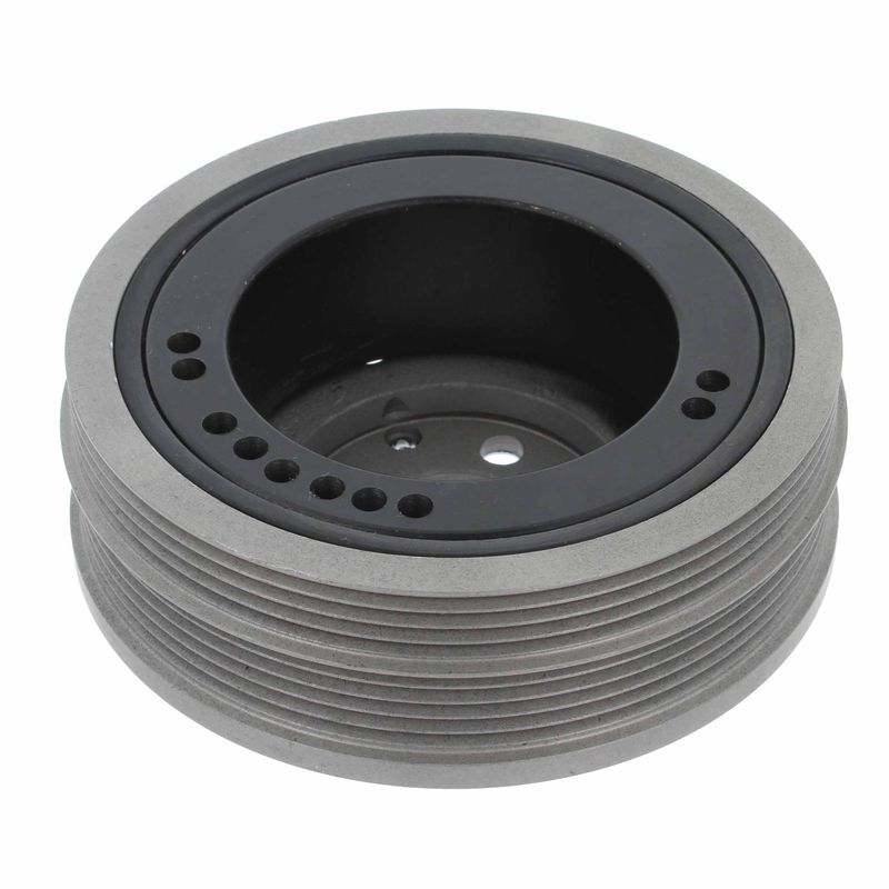 CORTECO Remenica, radilica