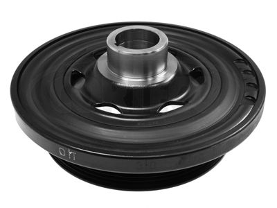 CORTECO Remenica, radilica