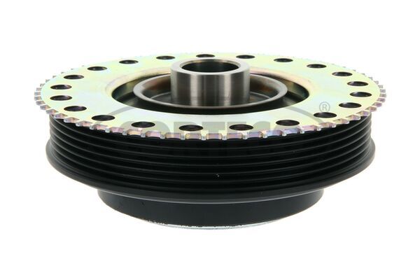 CORTECO Remenica, radilica