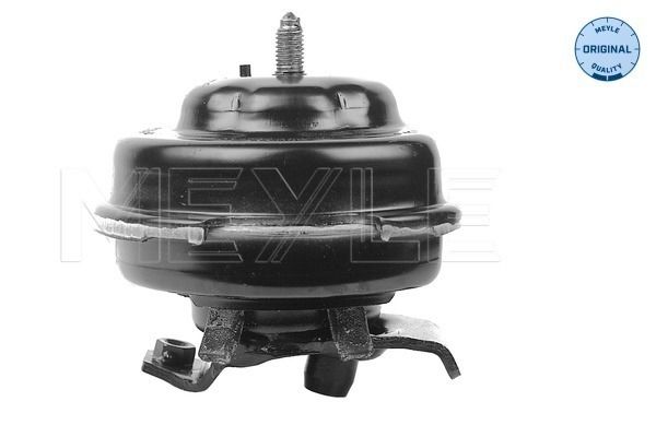 Meyle Uležištenje, motor