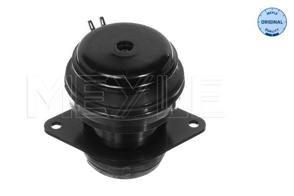 Meyle Uležištenje, motor