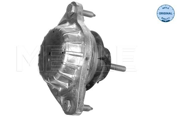 Meyle Uležištenje, motor