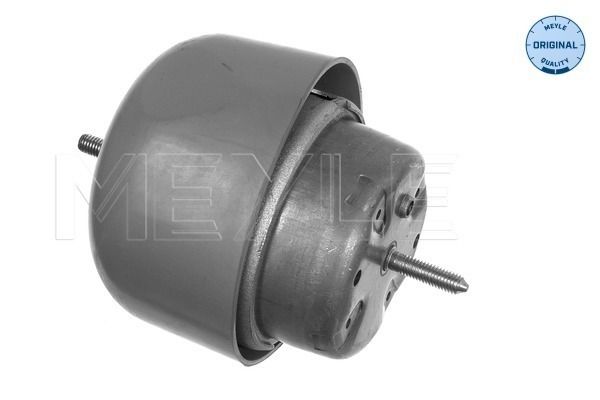 Meyle Uležištenje, motor