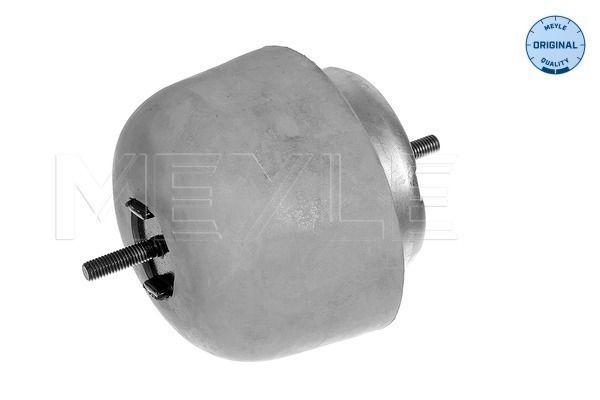 Meyle Uležištenje, motor