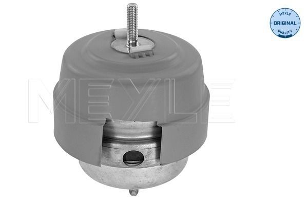 Meyle Uležištenje, motor