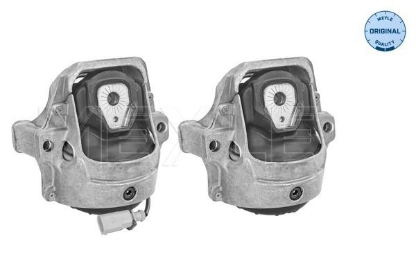 Meyle Uležištenje, motor