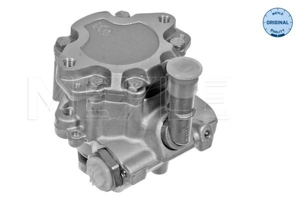 Meyle Hidraulička pumpa, sustav upravljanja