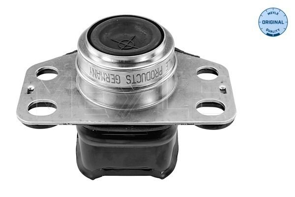 Meyle Uležištenje, motor