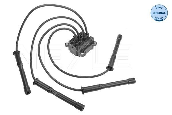 Meyle Svitak za paljenje