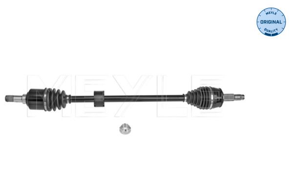 Meyle Uležištenje, spona