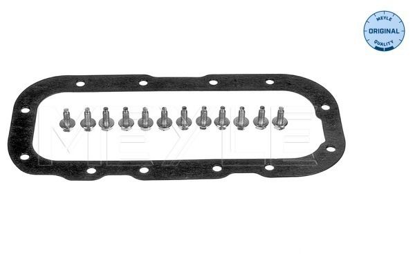 Meyle Brtva, karter ulja-automatski mjenjač