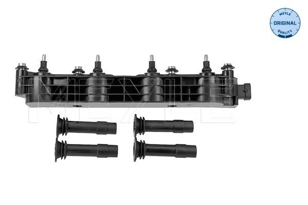 Meyle Svitak za paljenje
