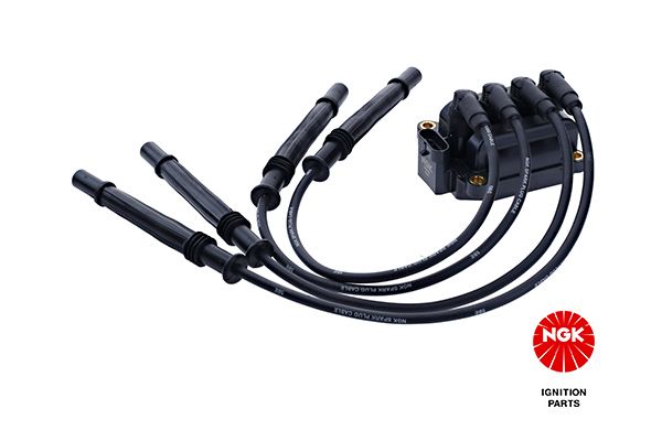 NGK Svitak za paljenje