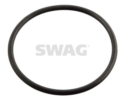 SWAG Brtva, termostat