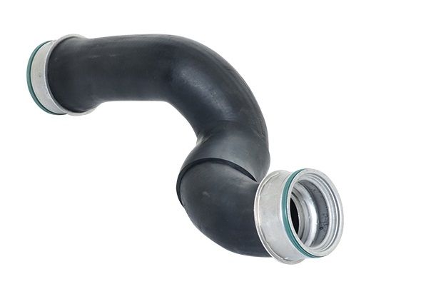 BUGIAD Crijevo turba