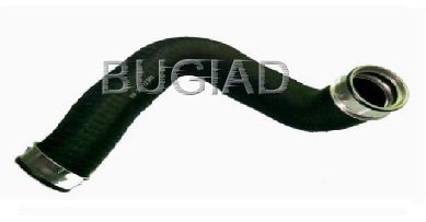 BUGIAD Crijevo turba