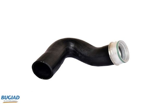 BUGIAD Crijevo turba