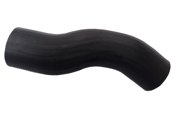 BUGIAD Crijevo turba