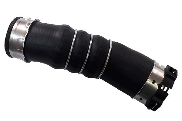 BUGIAD Crijevo turba