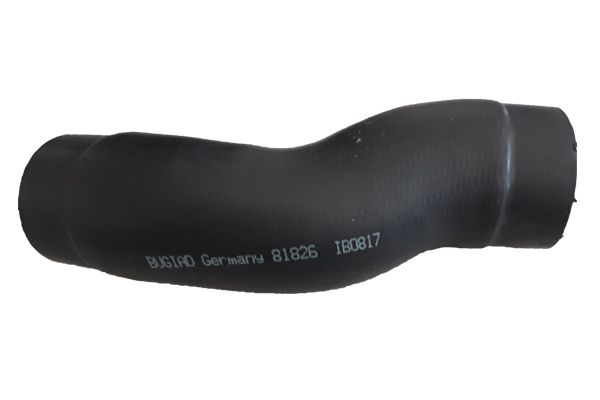 BUGIAD Crijevo turba