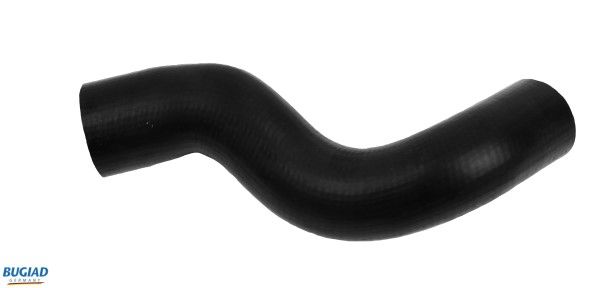 BUGIAD Crijevo turba