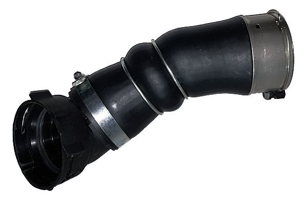 BUGIAD Crijevo turba