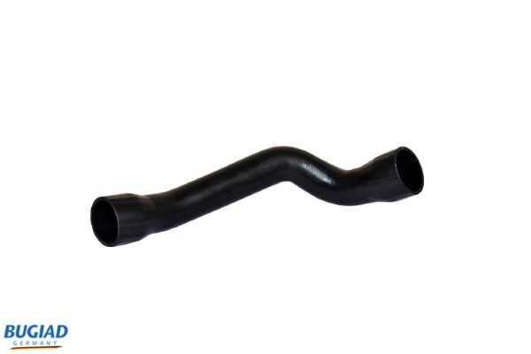 BUGIAD Crijevo turba