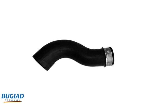 BUGIAD Crijevo turba