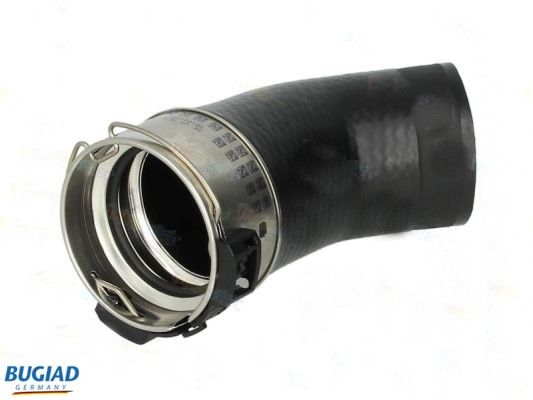 BUGIAD Crijevo turba