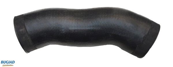 BUGIAD Crijevo turba