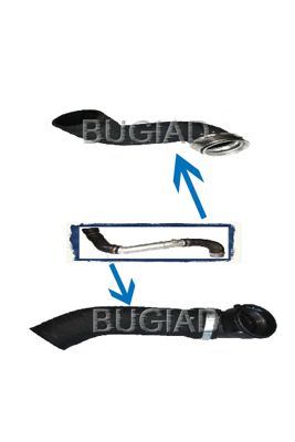 BUGIAD Crijevo turba