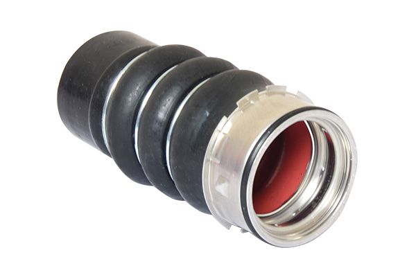 BUGIAD Crijevo turba