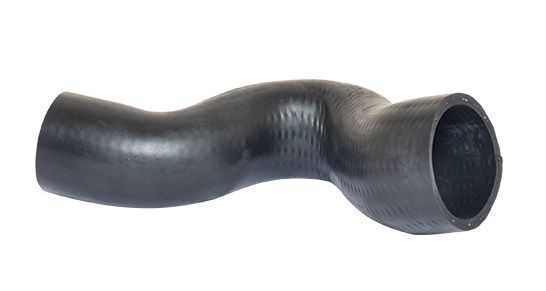 BUGIAD Crijevo turba