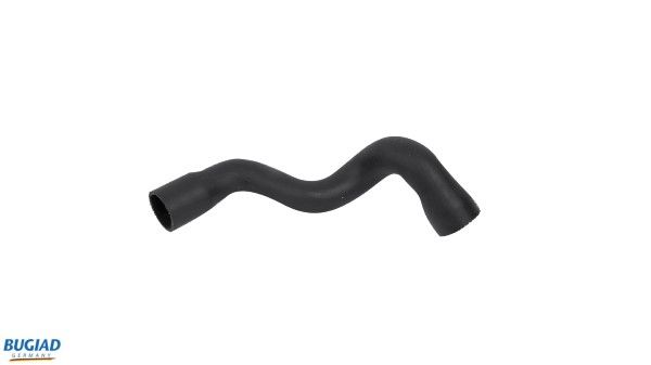 BUGIAD Crijevo turba