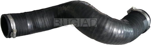 BUGIAD Crijevo turba