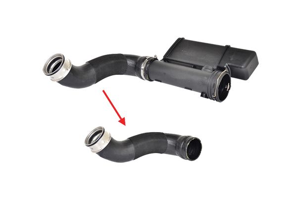 BUGIAD Crijevo turba