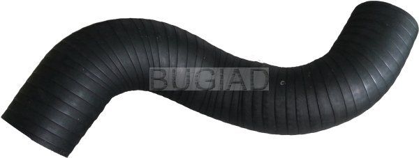 BUGIAD Crijevo turba