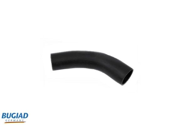 BUGIAD Crijevo turba