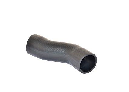 BUGIAD Crijevo turba