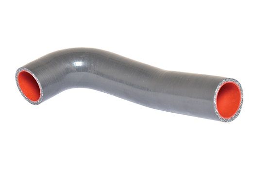 BUGIAD Crijevo turba