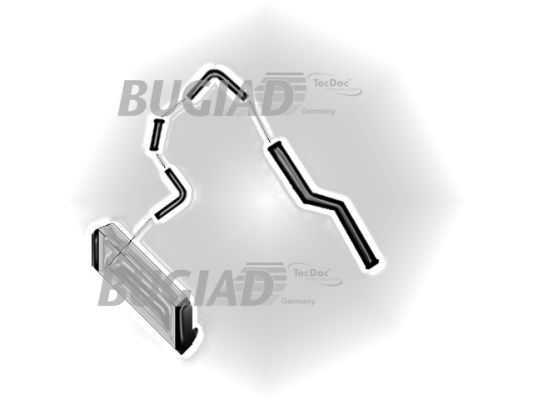 BUGIAD Crijevo turba