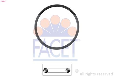FACET Brtva, termostat