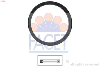 FACET Brtva, termostat