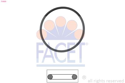 FACET Brtva, termostat
