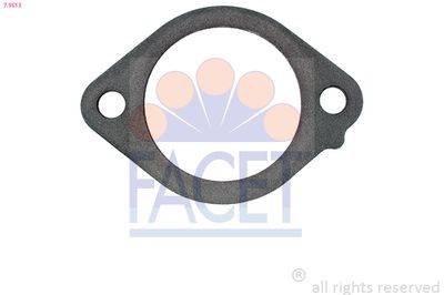 FACET Brtva, termostat