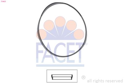 FACET Brtva, termostat