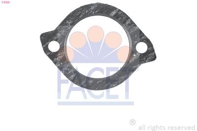 FACET Brtva, termostat