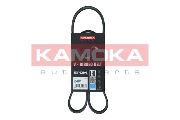 KAMOKA Klinasti remen
