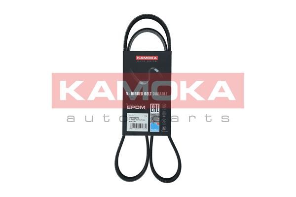 KAMOKA Klinasti remen