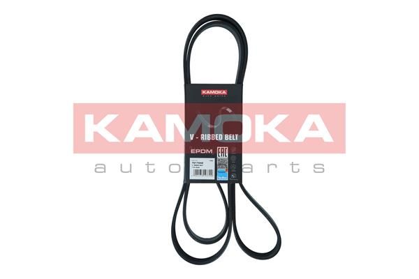 KAMOKA Klinasti remen